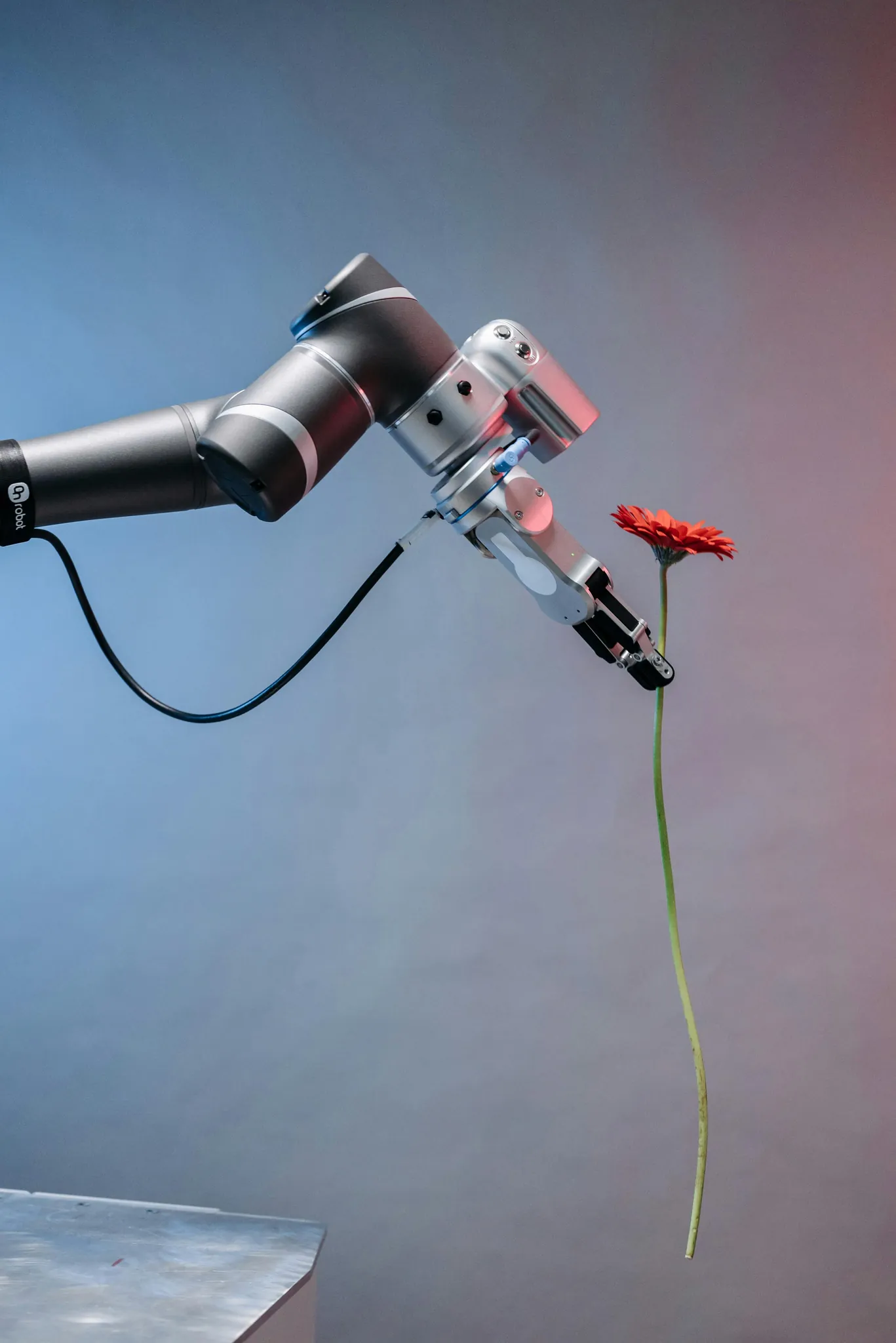 A robotic arm holding a red gerbera daisy